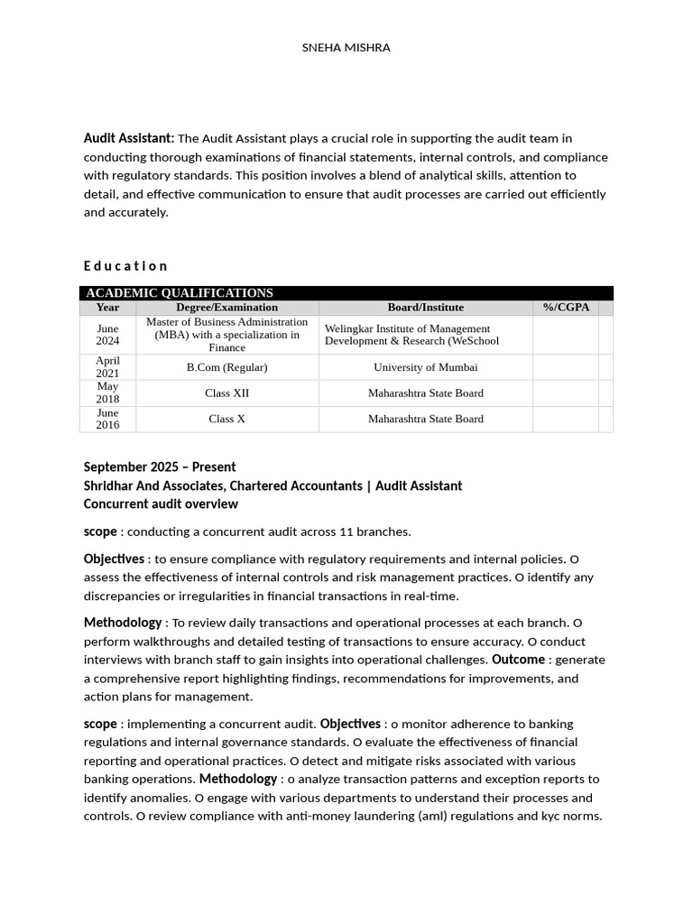 Audit Assistant | PDF