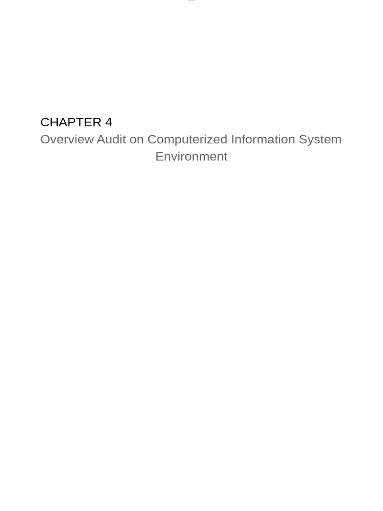 CHAPTER 4 Auditing in Computerized Information System | PDF