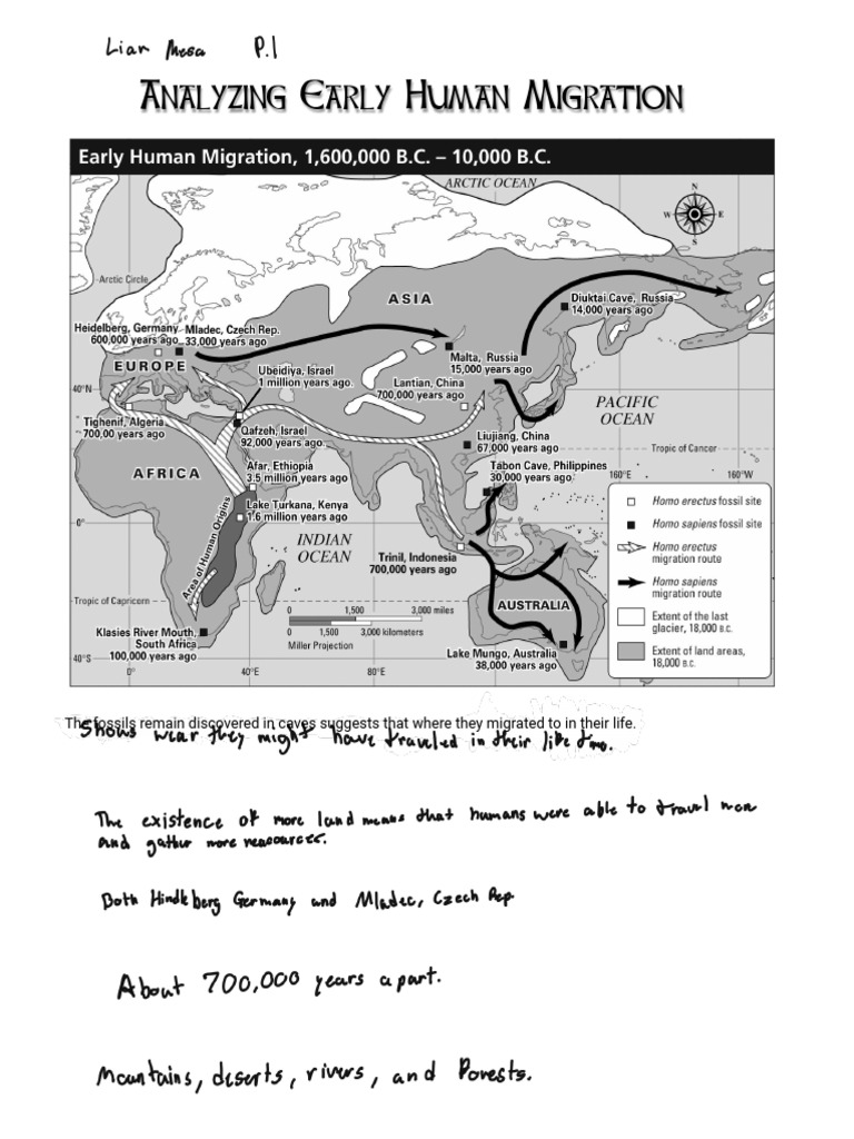Human Migration Patterns | PDF