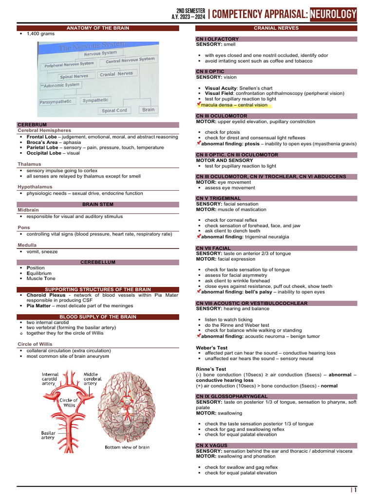 Neuro | PDF