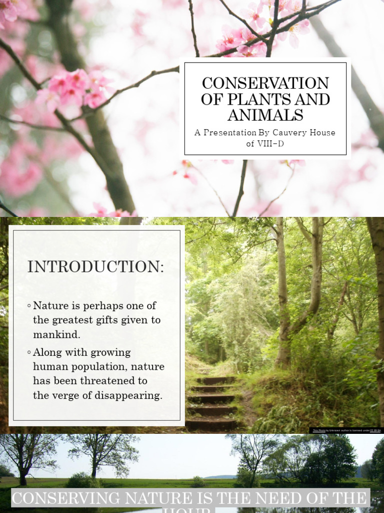 On Wildlife Conservation | PDF