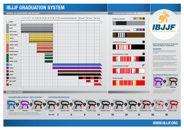 2025 InfoPoster Belts en | PDF