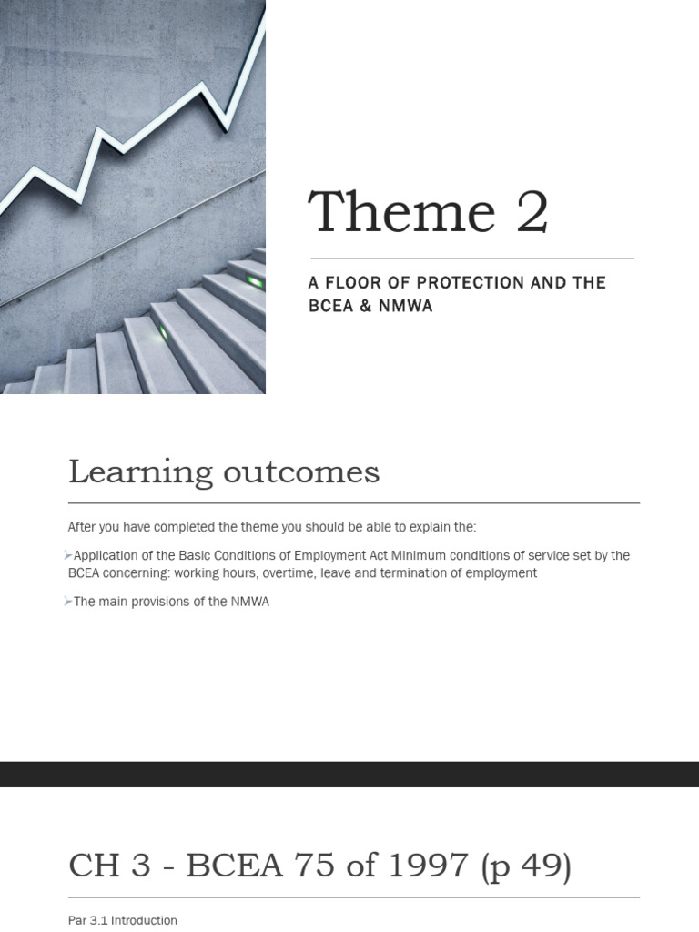 Theme 2: A Floor of Protection and The Bcea & Nmwa | PDF