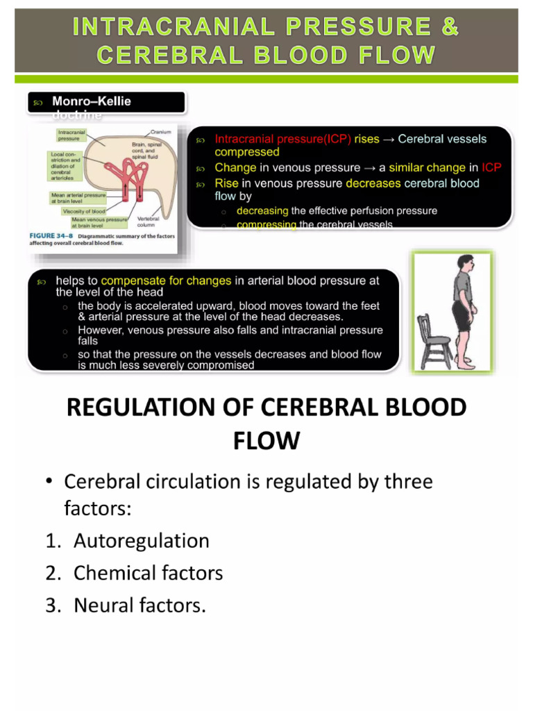 Cerebral Circulation and It's Structures Involved | PDF
