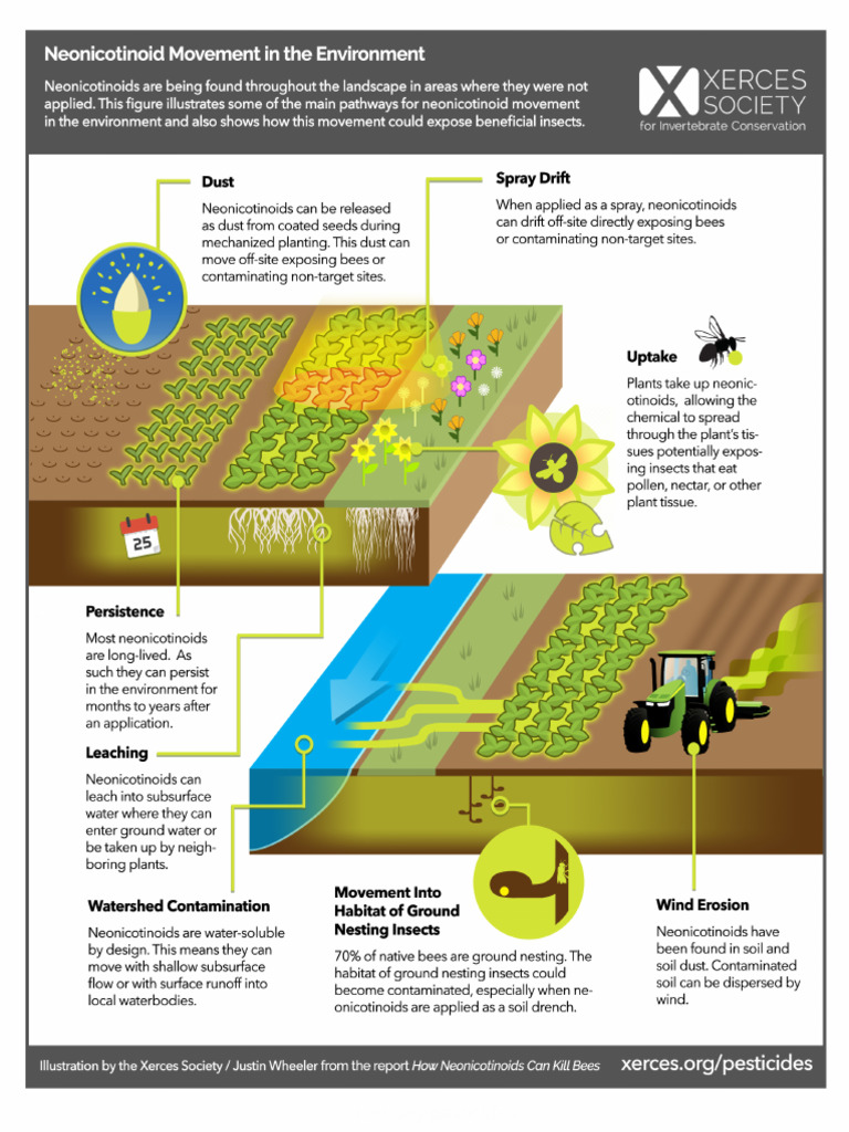Neo Nic Movement Graphic | PDF