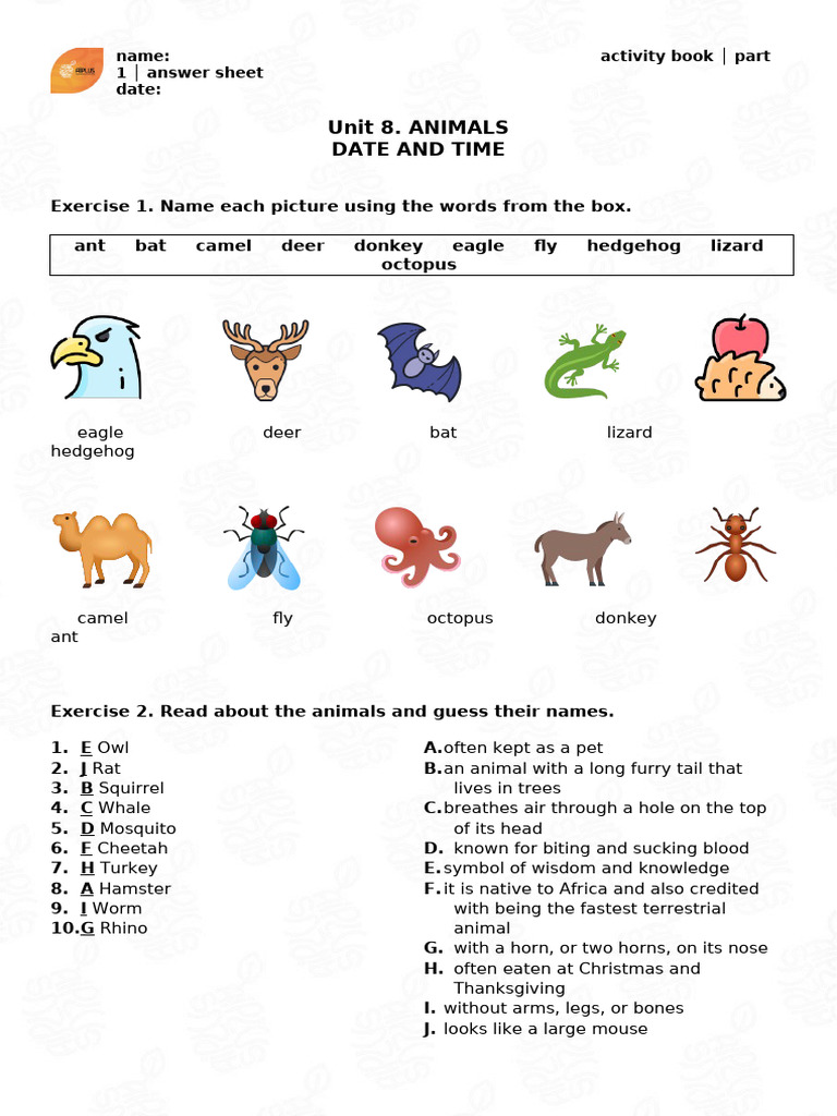 Unit 8. Activity Book, Part 1, Answer Sheet | PDF