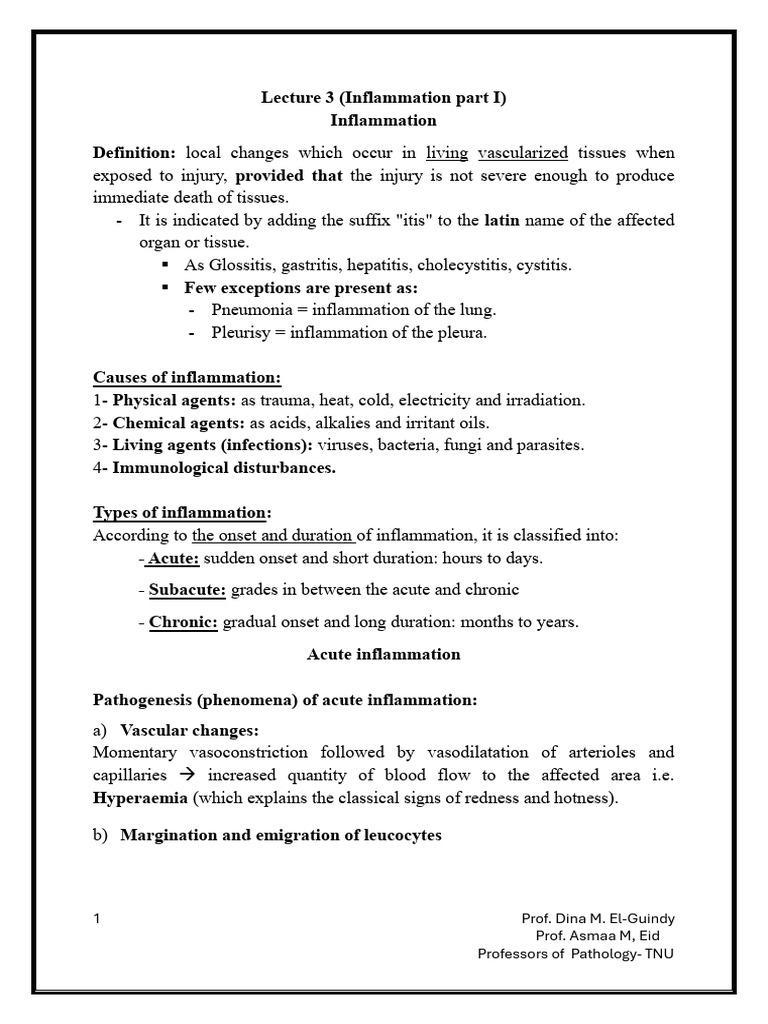 Lecture 3 Student Notes | PDF