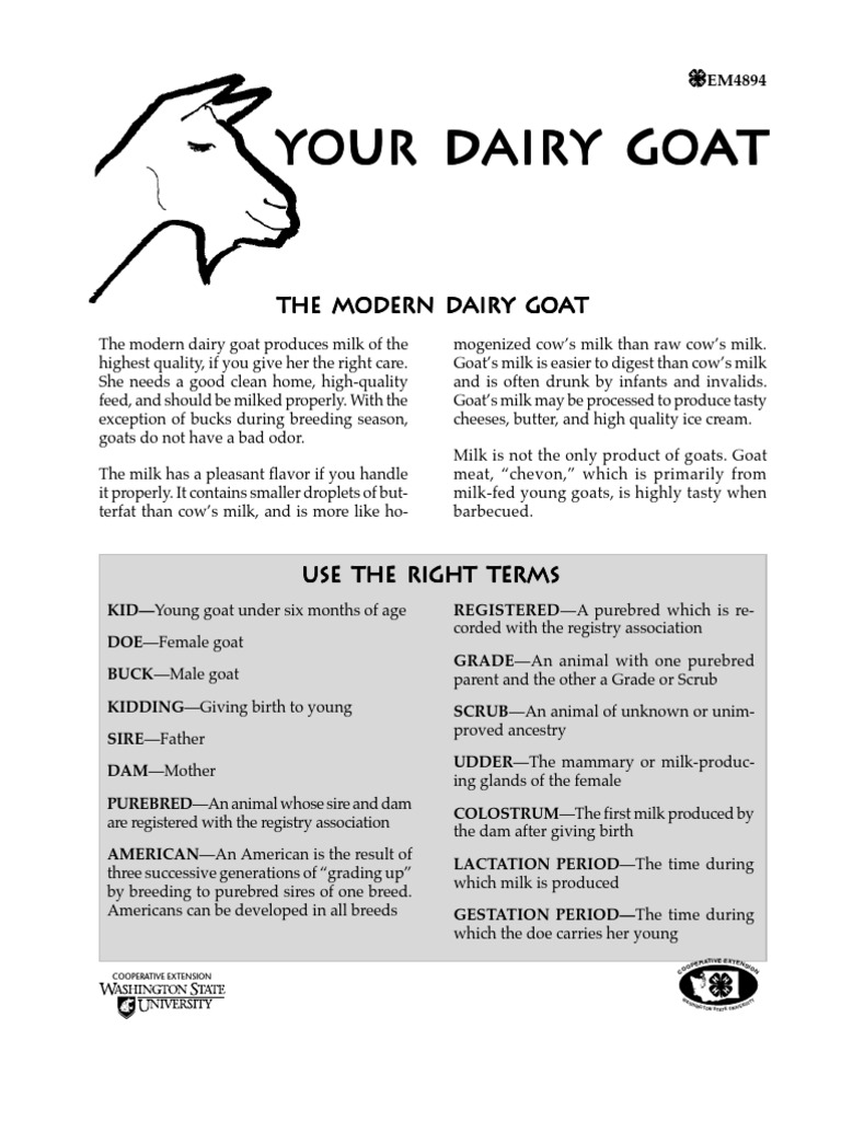 Your Dairy Goat Your Dairy Goat Your Dairy Goat Your Dairy Goat Your