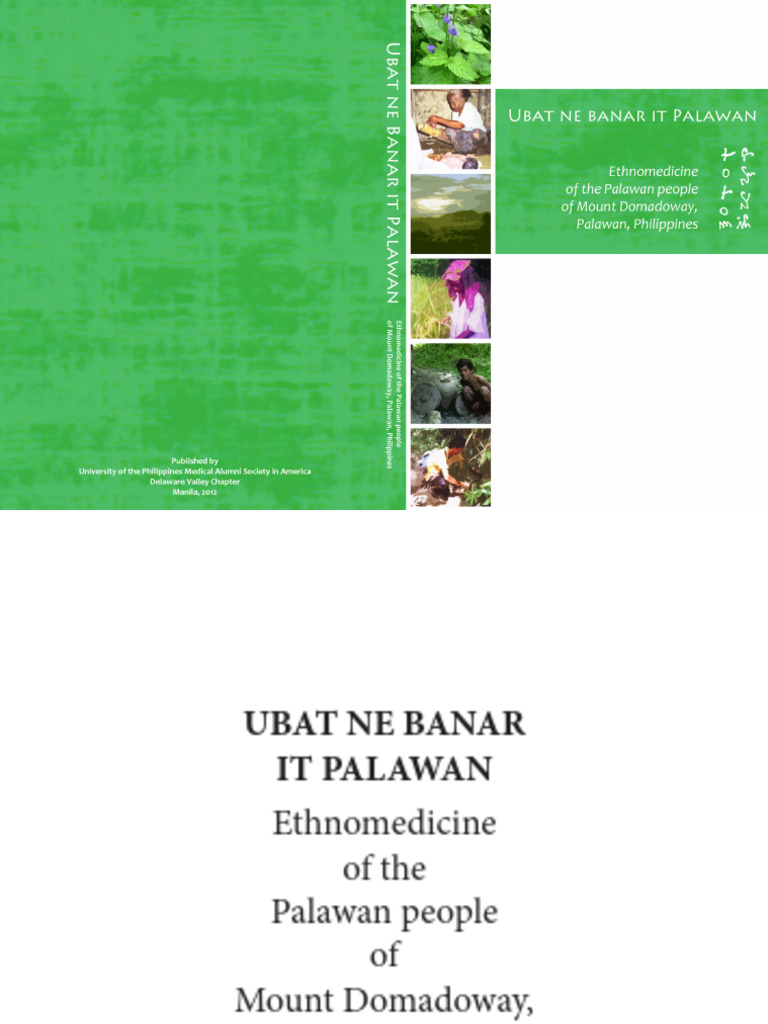 8.6.2 Palawan Book - Ubat Ne Banar It Palawan | PDF