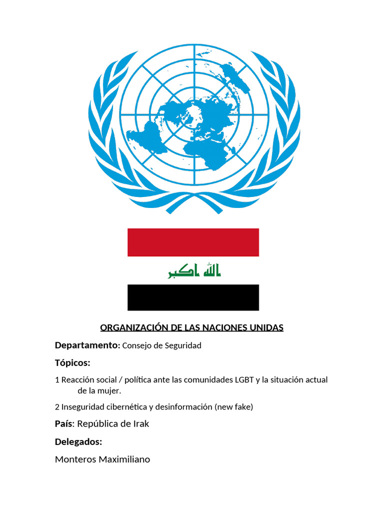 Organización de Las Naciones Unidas | PDF