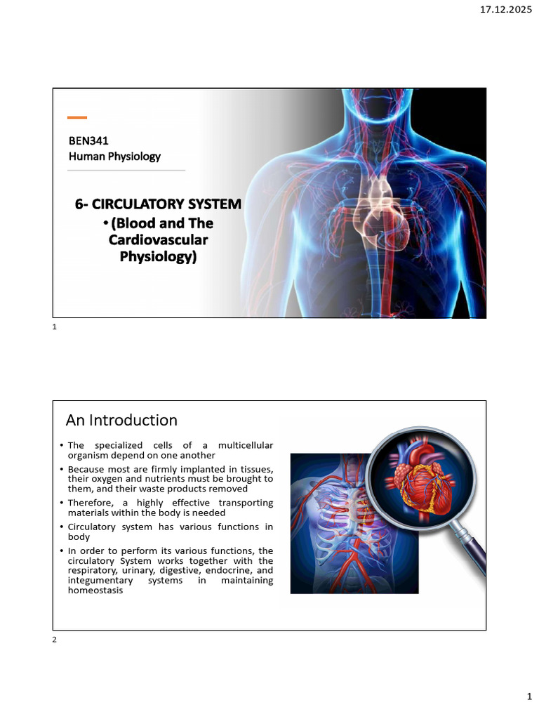 6 Circularity System | PDF | Heart | Heart Valve