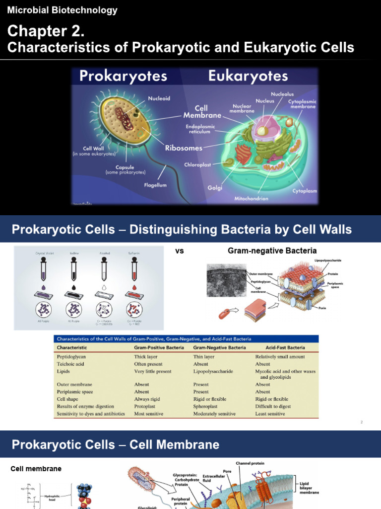 Chapter 2-2 - Characteristics of Prokaryotic and Eukaryotic Cells - 학생용 ...