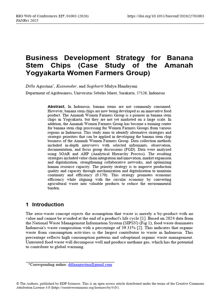 Business Development Strategy For Banana Stem Chip | PDF