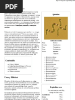 Download Spirulina - Wikipedia La Enciclopedia Libre by Chano Chano S V SN101442733 doc pdf