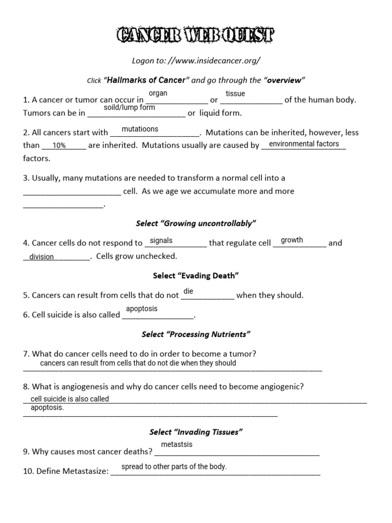 Cancer Web Quest | PDF