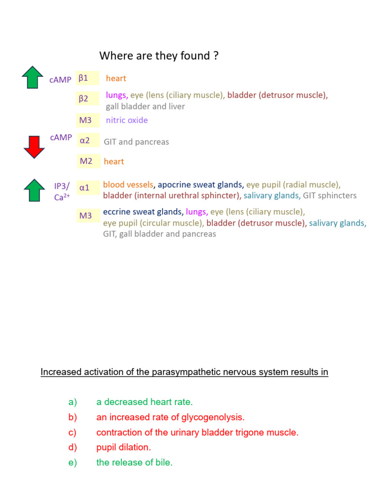PHSL 2000-Ans Tutorial - 2026 | PDF