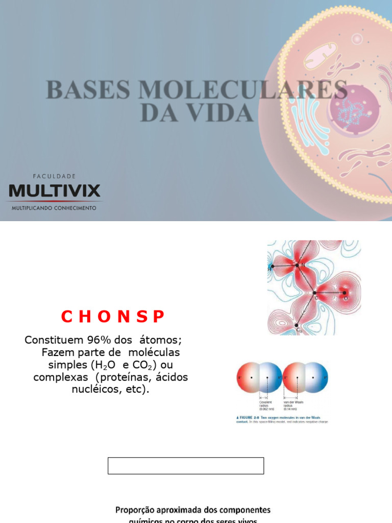 Aula 01 - Biologia Celular - Bases Moleculares | PDF