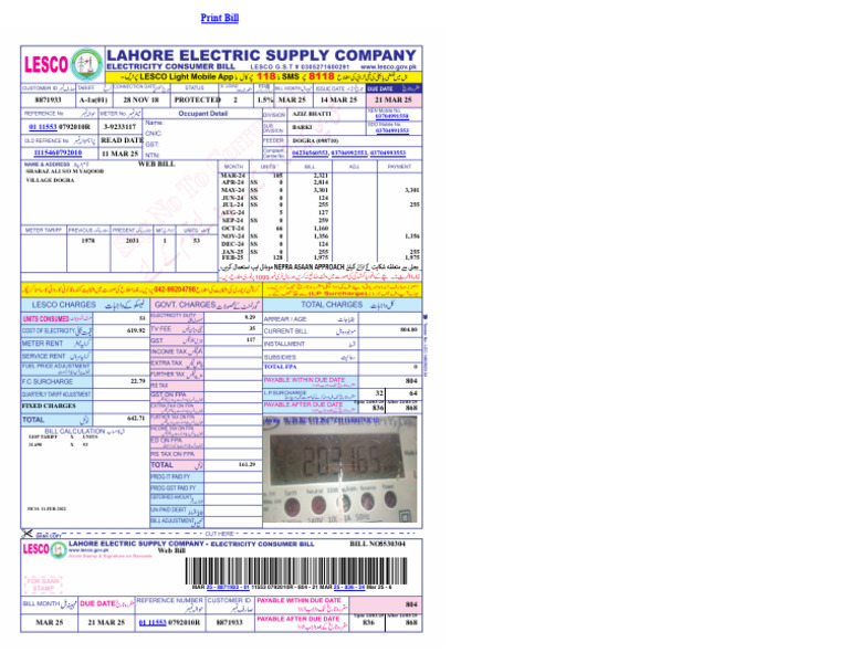 Lesco - Web Bill | PDF