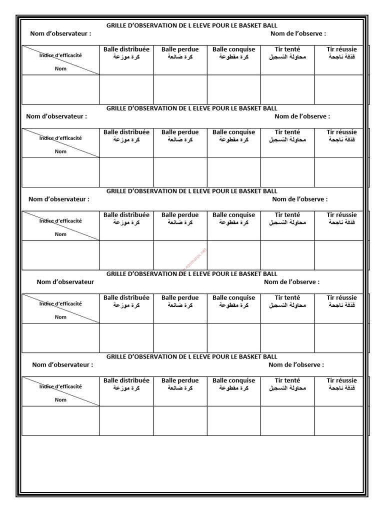 Grille D Observation Ind BB | PDF