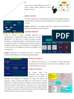 Tipos de Organizadores Graficos Imprimir