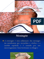 Assistência de Enfermagem ao cliente acometido por Meningite(1)