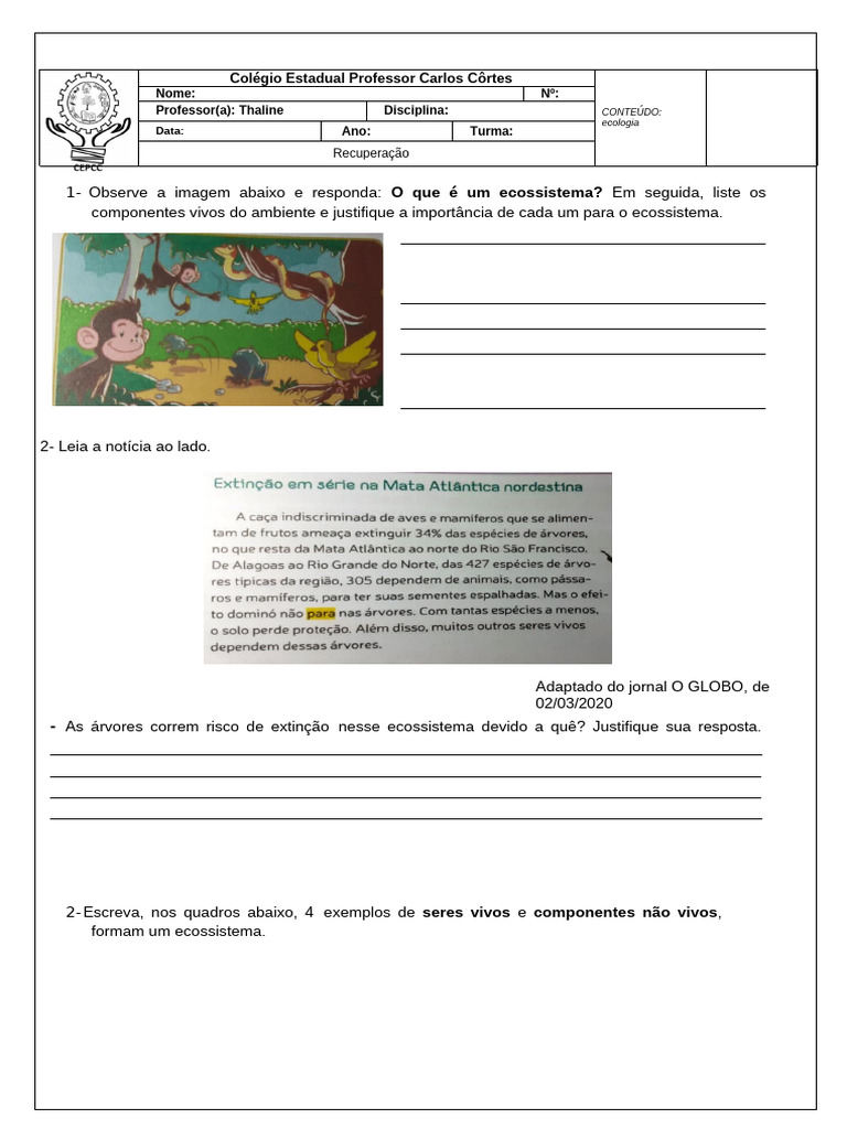 Recuperação - 601, 602 | PDF