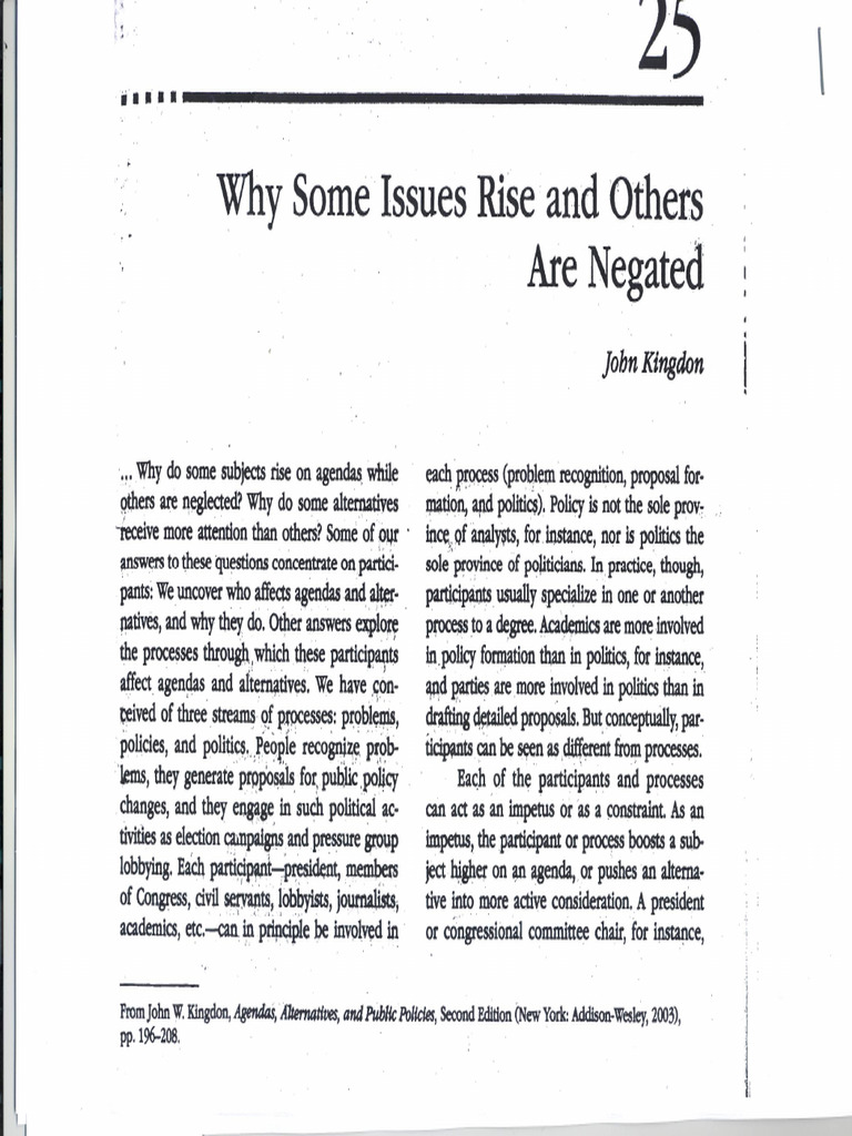 4.2 Why Some Issues Rise and Others Are Negated | PDF