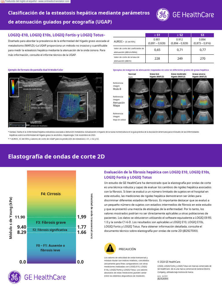 Logiq E10 Clasificacion de La Esteatosis Hepatica Ugap | PDF