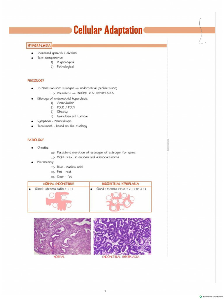 PW Pathology Notes 2 | PDF