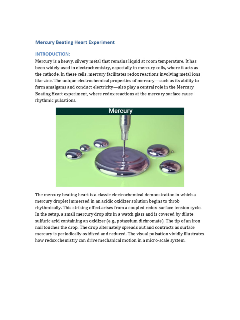 Mercury Beating Heart Experiment | PDF