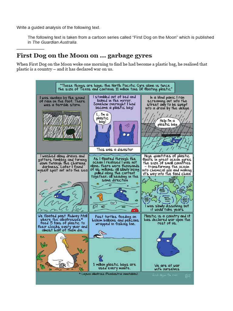 Garbage Gyres | PDF