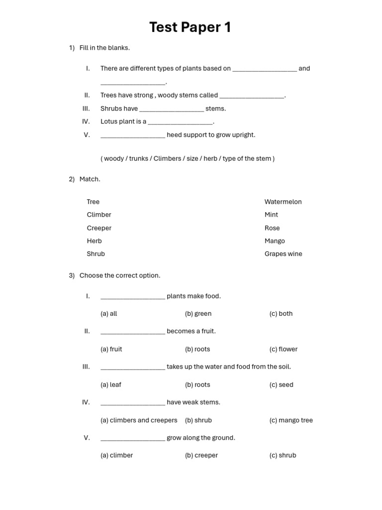 Test Paper 1 | PDF