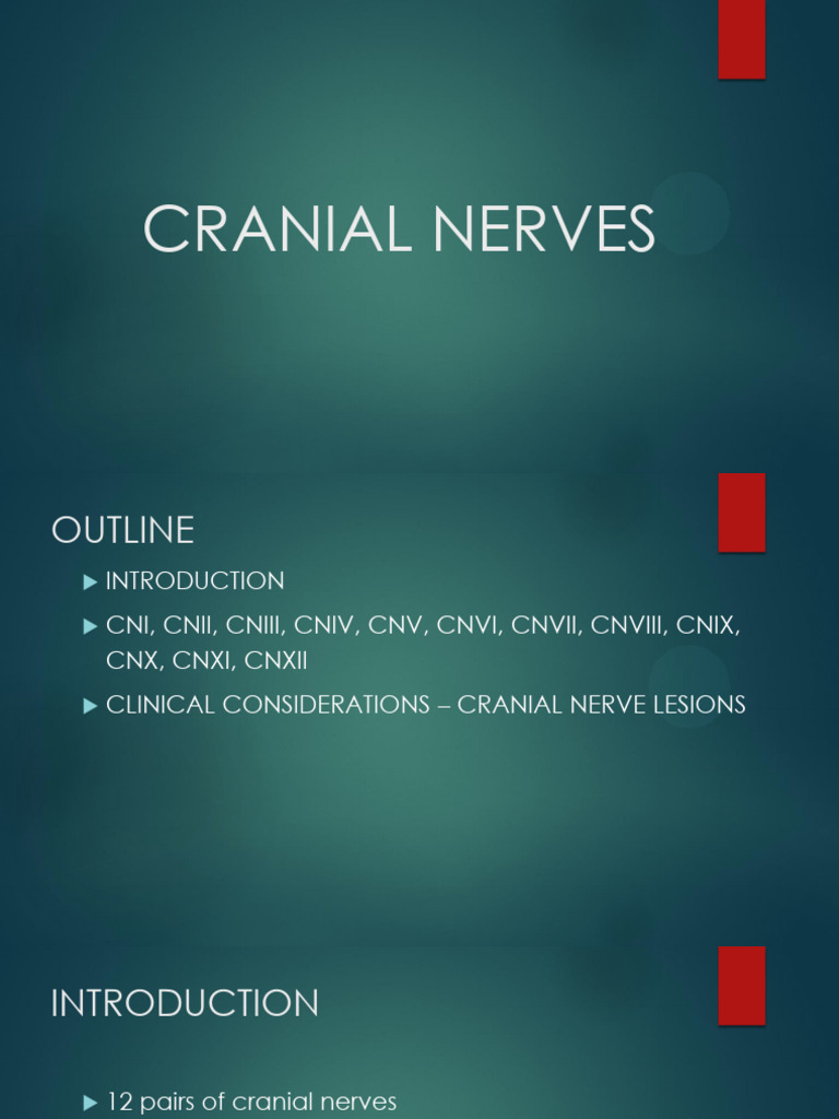 Cranial Nerves | PDF | Otorhinolaryngology | Nervous System