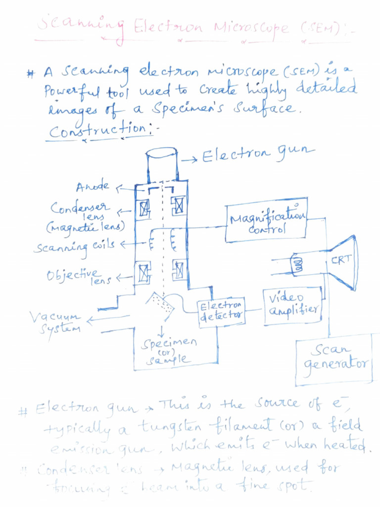 Scanning Electron Microscopy (SEM) | PDF