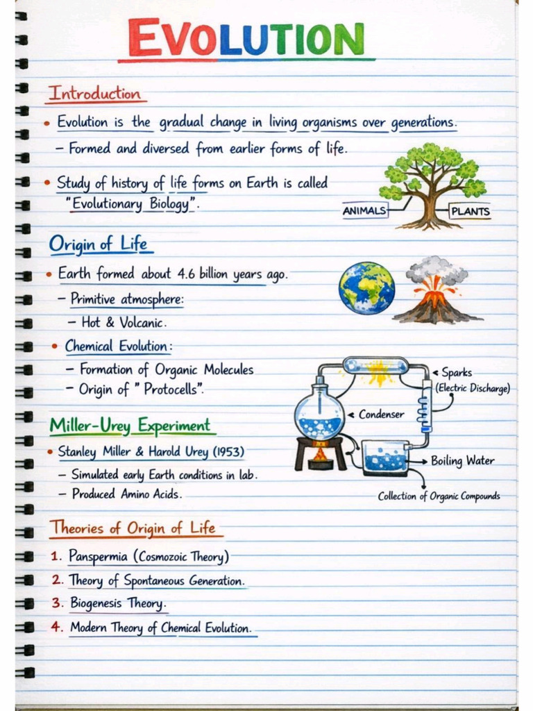 Evolution Shorts Notes ?? | PDF