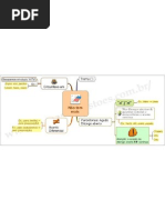 008-Port-Acentuação-01_PNG