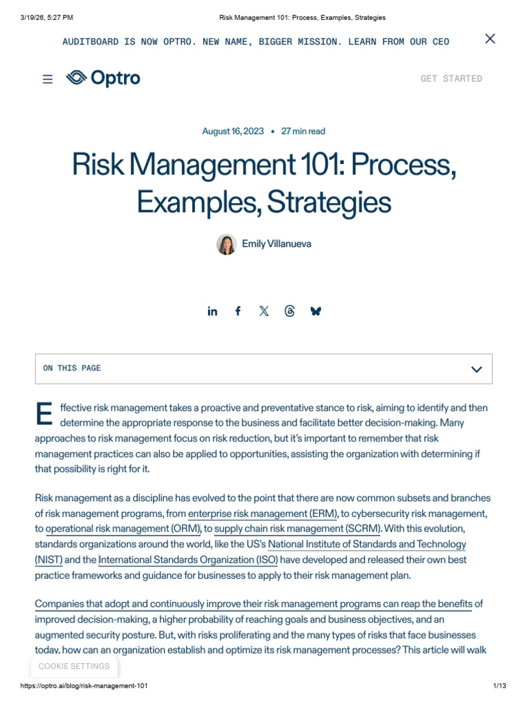 Risk Management 101 - Process, Examples, Strategies | PDF