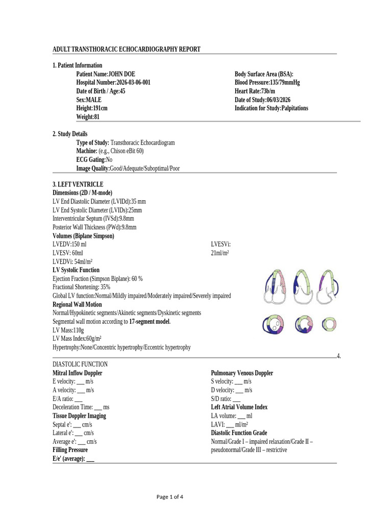 Comprehensive Bse Adult Transthoracic Echocardiogr | PDF