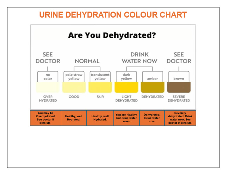 Urine Colour Chart-1 | PDF