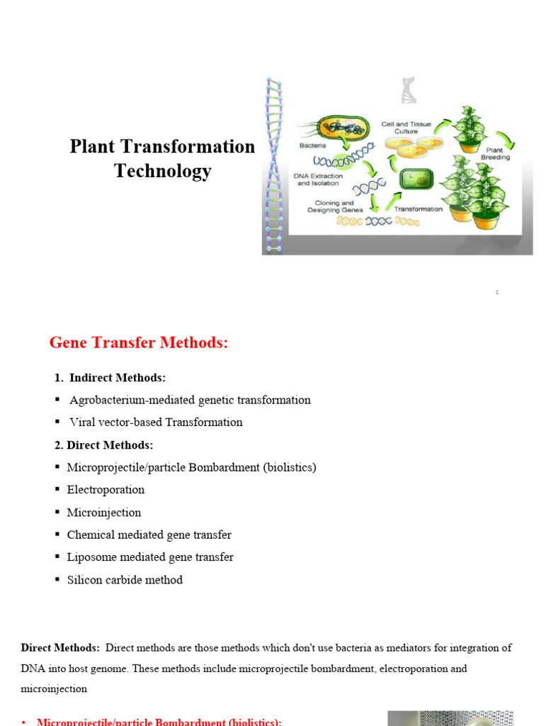 Lecture 8. Different Gene Transfer Methods | PDF