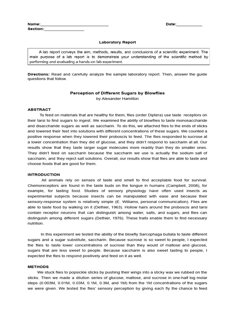 Laboratory Report Worksheet | PDF