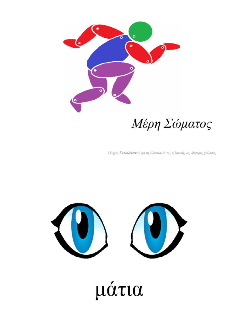 Partsof Thebody | PDF