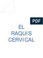 Osteopatía - Raquis Cervical