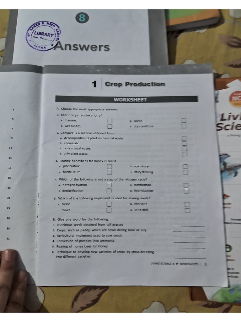 Worksheet For Science | PDF