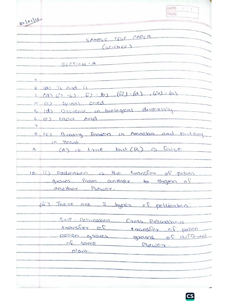 Science Test 4 | PDF