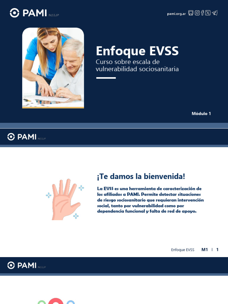 Módulo 1 - Enfoque EVSS | PDF