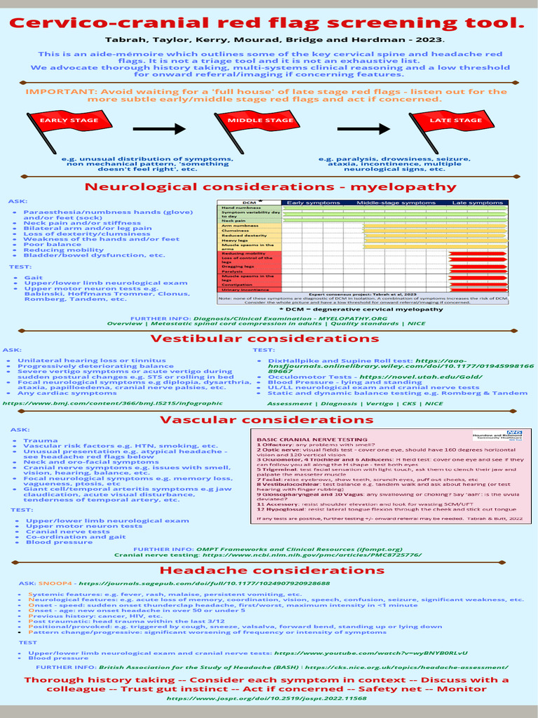 4.1. Red Flags Cervico Cranial Red Flag Tool Version 1 | PDF