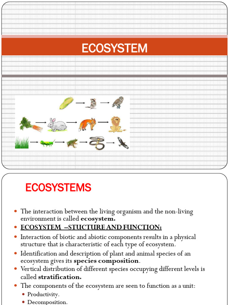 Ecosystem | PDF