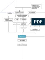 PathoPhysiology of Hypertension Diagram