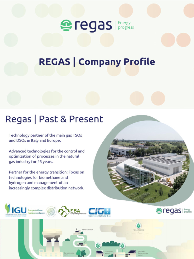 Regas Company Profile ENG | PDF | Flow Measurement | Energy Technology